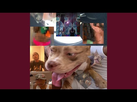 Meme of steve lacy looking similar to dreamybull lmao : r/NameThatSong