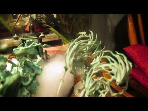 Diorama of Legion of Nagash