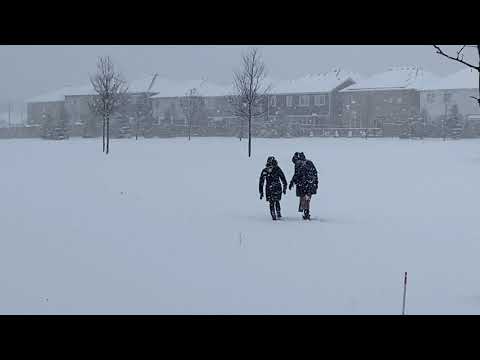 First Snow of 2020 | Winter is Here in Kitchener Ontario Canada