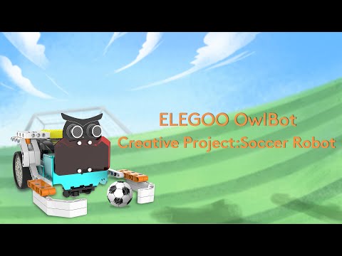 OwlBot Extended Projects: Soccer Robot