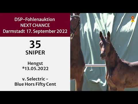 35 Selectric   Blue Hors Fifty Cent