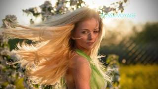 Bossa Voyage   -  Various Artists