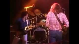 03 Rory Gallagher - Rock Goes To College 79&#39; Brute Force &amp; Ignorance.avi