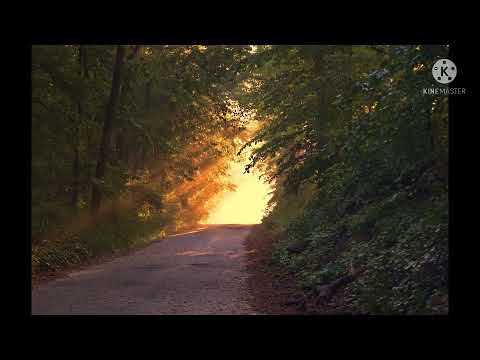 Relaxing Music | Best relaxing music on sea shore