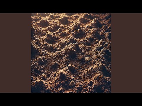 Rodeo - Antwane Tyler