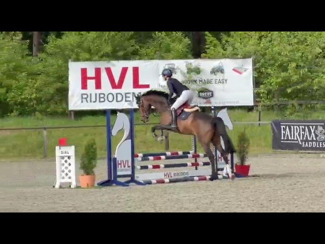 Show class movie from last week Rolanta WD (Lovemaker VDP x Chin Chin).