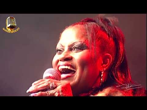 Blues Music Festival Vol 1 - Audiophile Music and Sound Test Audio System - Golden Voices