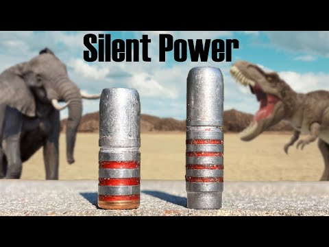 2 Insanely Powerful Subsonic Bullets