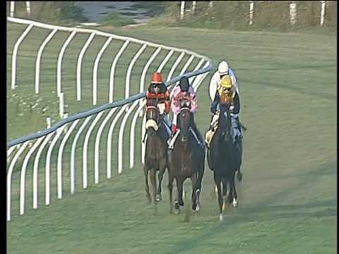 Galoppo 02/08/2017 - 3ª corsa