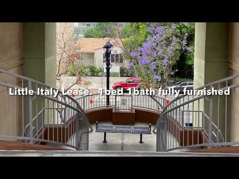 1 bedroom 1 bath fully furnished little Italy condo