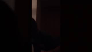 Владимир Ипполитов - World Pretending (Paradise Lost cover)