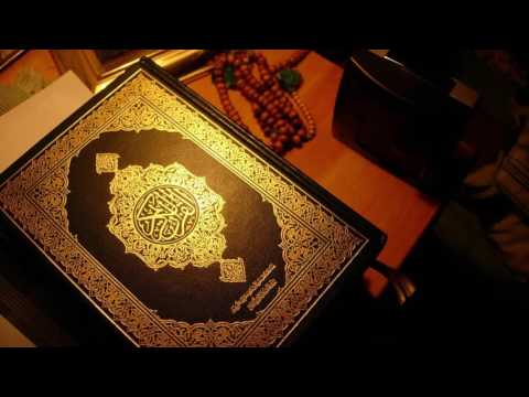 005 - মায়িদা - Al-Maidah ( The Table spread with Food ) - سورة المائدة