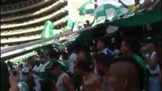 preview picture of video 'Frente Radical Verdiblanco | Vamos Glorioso | Cali 0-1 Chico | Liga Postobon 2014-II'