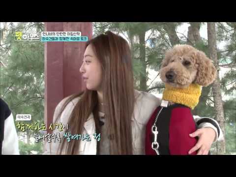 150317 Sumin, Minjae & Nahyun cut @ SONAMOO's Pet House Ep. 3