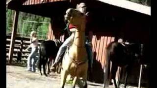 preview picture of video 'Wrangler Shows How to Ride a Horse'