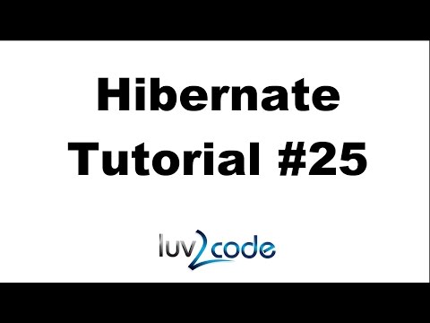 Hibernate Tutorial 25 Delete Objects Write Some Code