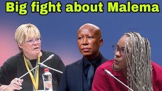 DA Breytenbach & EFF Mathys fight about Malema court sentencing.