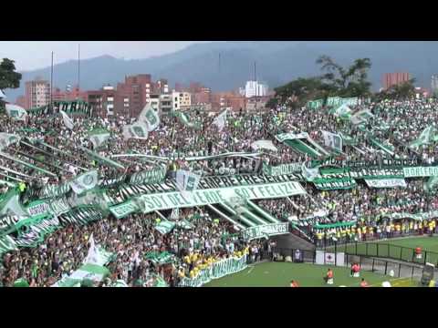 "CÃNTICOS LOS DEL SUR | Atlético Nacional 2   Deportivo Cali 1, Fecha 6 Liga Ãguila 2016-I" Barra: Los del Sur • Club: Atlético Nacional