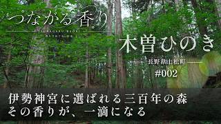つながる香り #002 木曽ひのき（長野県 上松町）