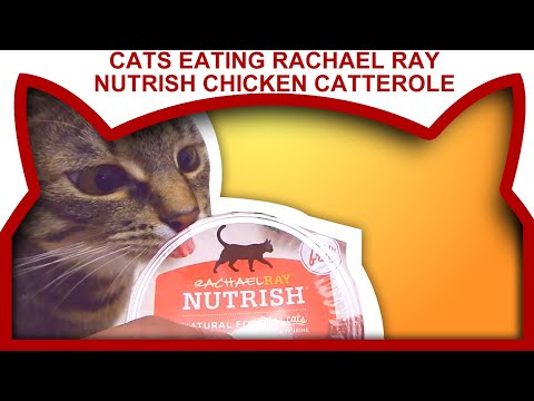 Cats Eating Rachael Ray Nutrish Grain Free Beef &...