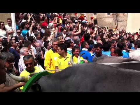 Benedizione dei carri di s. Martino