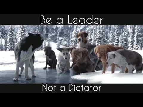 Be a leader | best motivational video status| whatsapp status video|motivational video|be a !wolf