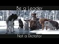 Be A Leader Best Motivational Video Status Whatsapp Status Video Motivational Video Be A Wolf