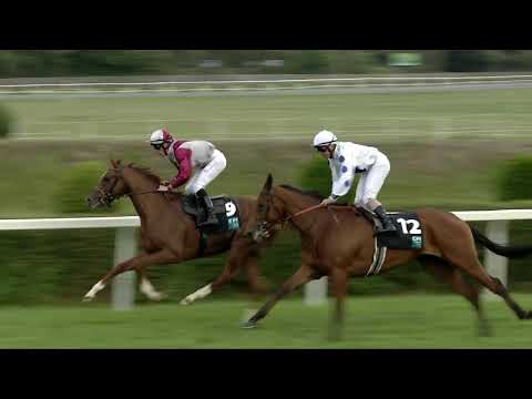 CH, 24. 6. 2018, 6. dostih - 98. CPI PG ČESKÉ DERBY