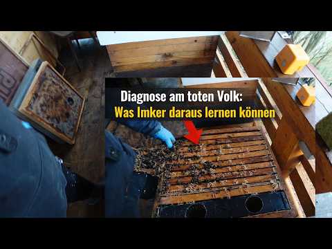 A people is dead – I'm looking closely.