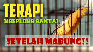 Download lagu PANCINGAN ANIS MERAH SETELAH MABUNG - ANIS MERAH NGEPLONG SANTAI mp3