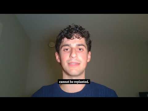 Арбузы с семечками исчезли!