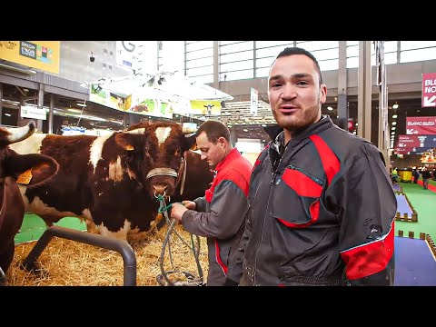 , title : 'Salon de l’Agriculture : bienvenue dans la plus grande ferme de France'