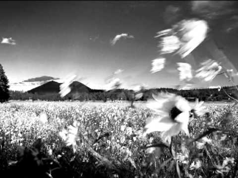 Oltre ogni limite - Renato Zero