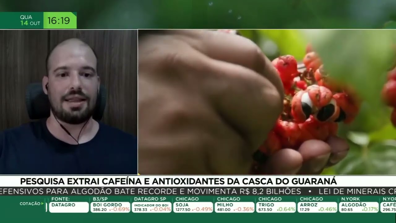 Pesquisa extrai cafeína e antioxidantes da casca do guaraná