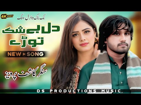 Dil Beshak Torey | Kashif Pervaiz | New Saraiki Song 2025 | Saraiki Punjabi Song | Official Video