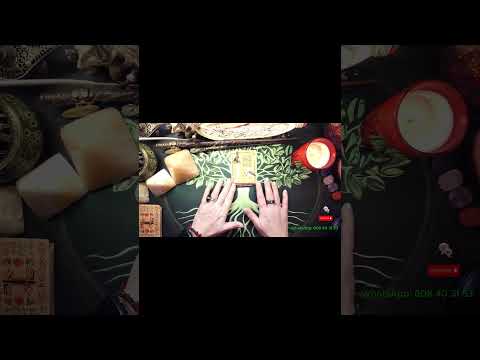 💫🔍 Acuario, una señal divina aparece en tu camino; tu intuición sabrá reconocerla. 🌙✨ #tarot #amor