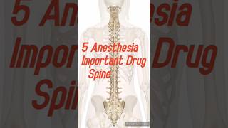 Download lagu top 5 Spinal Anesthesia Drugs 💉| #shorts #ytshorts #anestesia #medicalstudent mp3