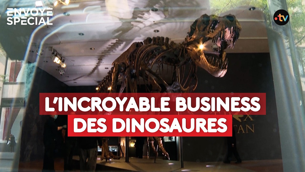 Illustration: Faux T-Rex, vrais millions : comment un réseau a blanchi des squelettes de dinosaures dans les musées
