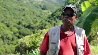 preview picture of video 'Agrodom : Amelaise Clothaire, agriculteur à Baillif'