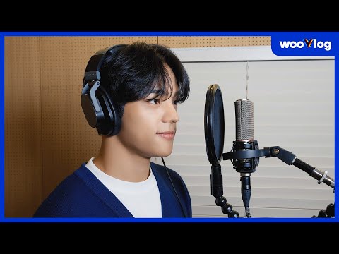 🎤 [Live] 태연 - Fine covered by KIMWOOJIN #wooVlog #wV87