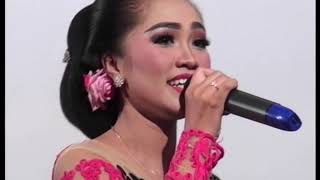 Download lagu Maria Punjung - Selire Welas (lagu banyuwangi terbaru) mp3 Download lagu Maria Punjung - Selire Welas (lagu banyuwangi terbaru) mp3