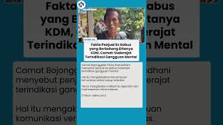 Camat Buka Suara Soal Penjual Es Gabus: Ungkap Kemungkinan Kebohongan & Indikasi Masalah Kejiwaan