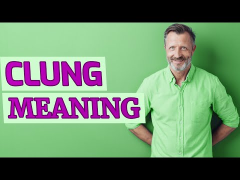 Clung | Definition of clung 📖