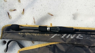 Graphiteleader finezza corto gofcs 732ul-t
