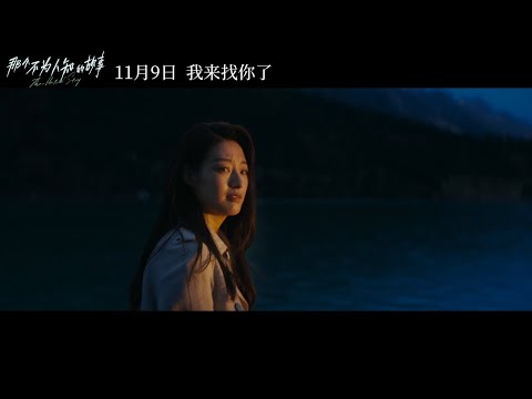 电影《那个不为人知的故事》定档11月9日 并发布预告