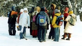 preview picture of video 'Лесные уроки в начальной школе. Природа зимой'