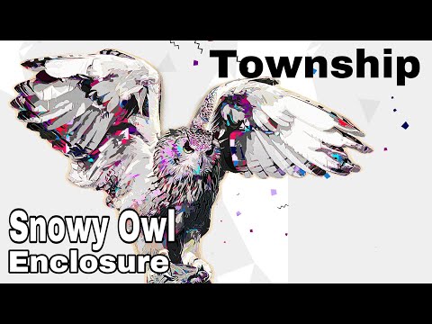 Township, snowy owl enclosure, level 146 gameplay, unlocking, zoo guy