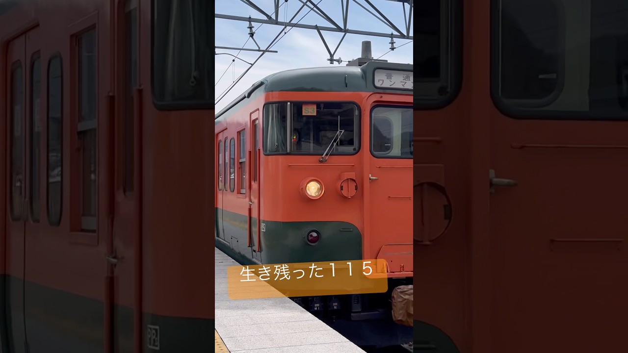 2026年も生き残った115系！しなの鉄道