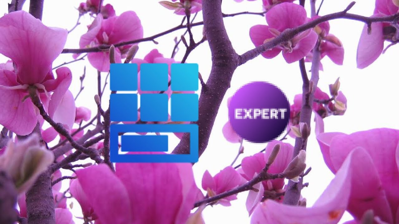 Progressbar 11 Expert (Gray Theme)