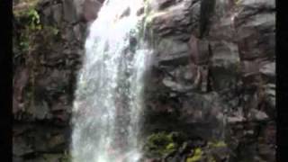 Pedro Infante: &quot;Golondrina de ojos negros&quot;